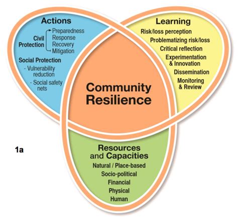 Pin By Megan Miley On Resilience Resilience Executive Functioning