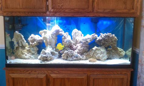 120 Gallon Fish Tank Zig Gamme