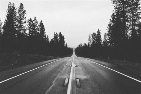 Black And White Road To Forest Photo Free Download