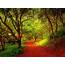 Beautiful Forest Pathway 03846  Wallpapers13com