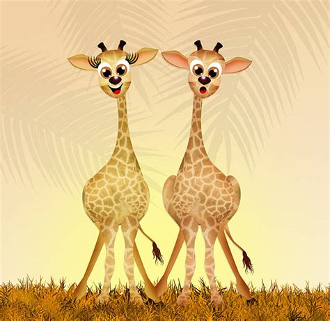 giraffe breeding illustrations royalty free vector graphics and clip art istock