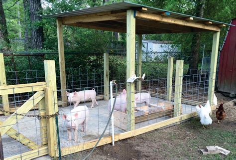 How To Build A Pig Pen Design Organic Hogs Youtube Animals For