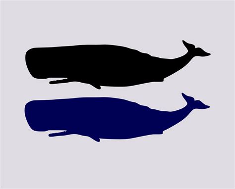 Whale Silhouette Pngsvg By Southernfivedesigns On Etsy In 2020 Whale