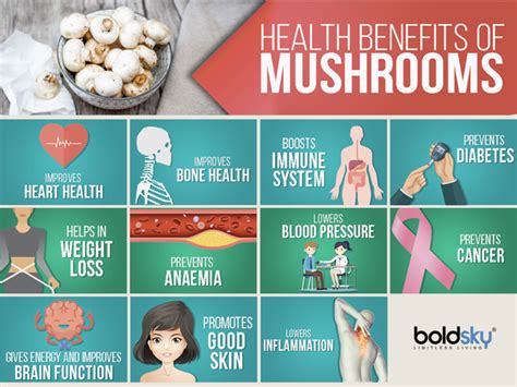 11 Health Benefits Of Mushrooms