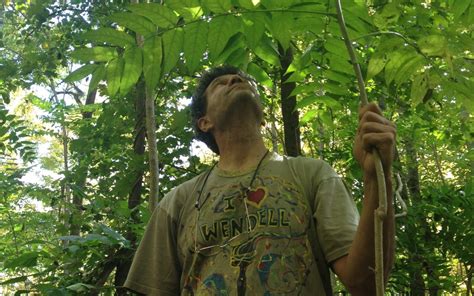 In order to become an ahg accredited herbalist, an applicant one thing to keep in mind is that an herbalist cannot make medical diagnoses without a medical degree. Herbalist Training: How to Become an Herbalist - Clearpath ...