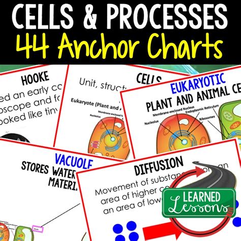 Life Science Anchor Charts Posters Classroom Decor