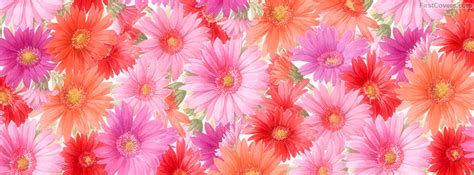 Web Design Company In Udaipur Flowers Facebook Timeline Cover Photo