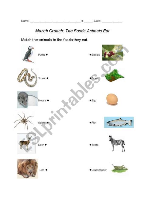 Worksheet Of Eating Habits Of Animals Animals And Their Habitats