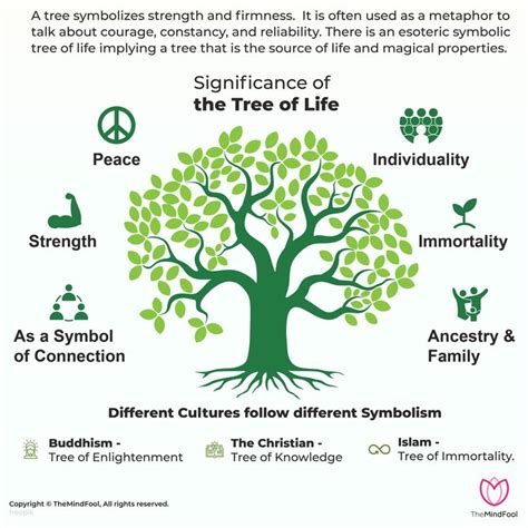 To the celts, the tree of life symbol meant wisdom, strength and a long life. Tree of Life Meaning: What is it and its Symbolism in 2020 ...