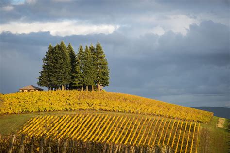 The Willamette Valley and Wine Country Photo Gallery | Fodor's Travel