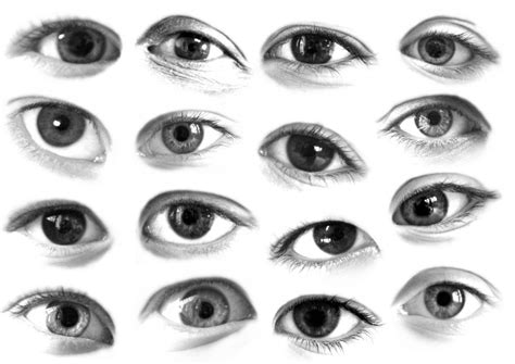 Anime Eye Brushes Photoshop Creating An Anime Eye Step By Step Using