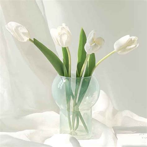Simple Glass Vase Cohovia