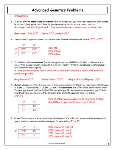 Use the discussion to review vocabulary: Punnett Square Worksheet Pdf - worksheet