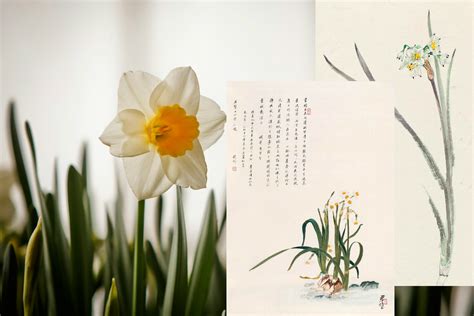 Poetic Beauty 10 Most Significant Flowers In China 9 Cn