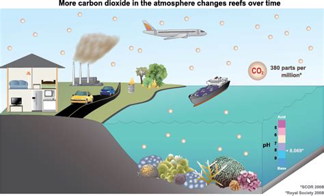 Rising temperature and acidity make it harder for animal inhabitants to weather disease epigenetics refers to molecular alterations to dna strands—such as patterns of decoration with methyl groups—that affect gene expression but that do. Coral Reefs and Climate Change - How does climate change ...