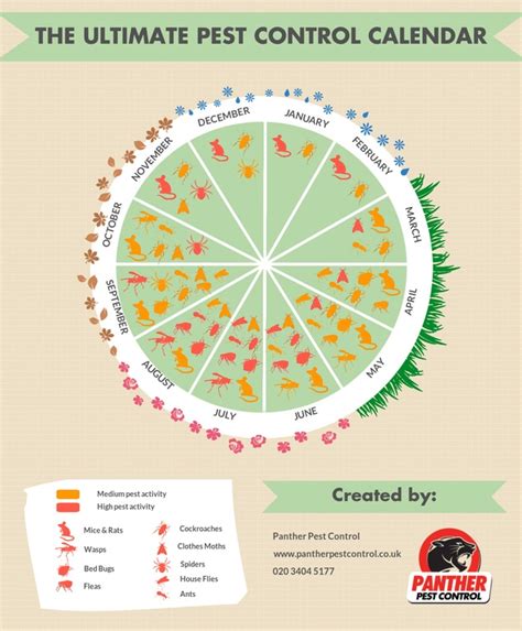 Diy pest control tips from the pros. DIY Pest Control Recipes for a Bug Free Home + Pest ...