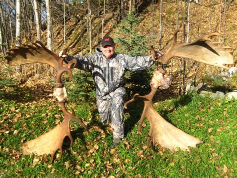 Hunters can kill a trophy moose on these hunts for a fraction of price compared to a trophy alaska moose hunt. DIY Moose Hunts Alaska | Moose Hunting