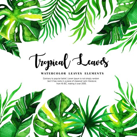 Watercolor Tropical Leaves Background 676992 Vector Art At Vecteezy