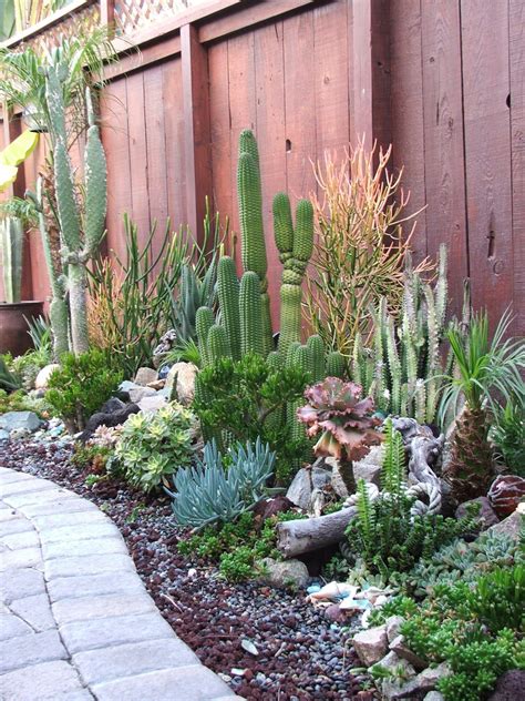 10 Driftwood Garden Ideas Stylish And Also Lovely Succulent Garden