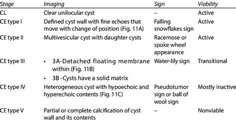 Who Classification Of Hydatid Cyst Download Scientific Diagram