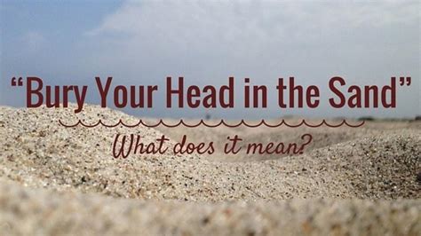 What Does It Mean Bury Your Head In The Sand