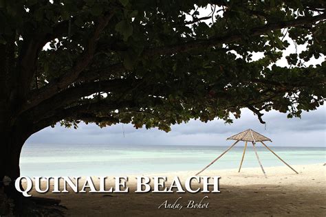Quinale Beach Of Anda Bohol Beach Bohol Travel Photography