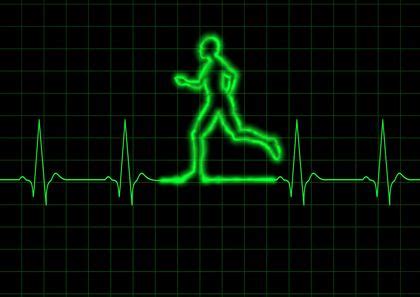 Taking care: keeping the cardiovascular system healthy - The