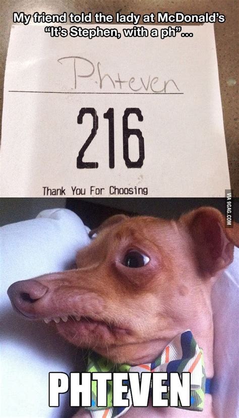 The 36 Funniest Dog Pics Known To Man Haha Funny Funny Funny Pictures