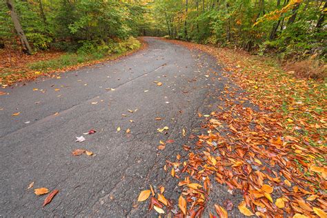 Free Photo Winding Autumn Forest Road Hdr America Prince