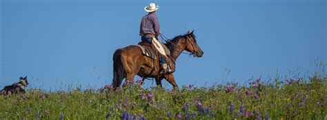 Top 25 Reasons To Be A Cowboy 18 Life On A Ranch