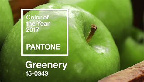 Your Designs And Pantones Color Of The Year Greenery The Us