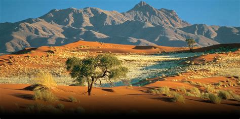 Bitácora De Viajes Diez Razones Para Visitar Namibia