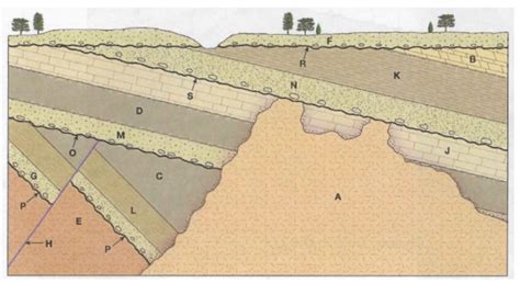 Solved Describe The Geologic History Of This Geologic Cross Section