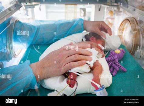 Premature Babies High Resolution Stock Photography And Images Alamy