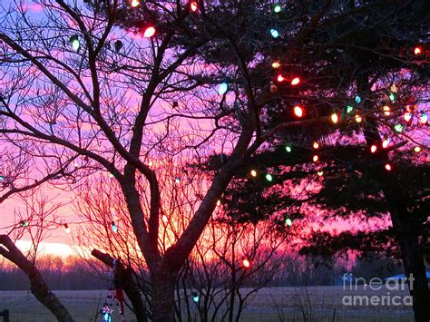 Christmas Light Sunrise Photograph By Tina M Wenger Fine Art America