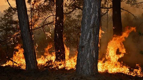 Ülkemizde pek çok il ve ilçede süren orman yangınları nasa uyduları tarafından çekilen görüntülerde tespit edildi. Eskişehir'de orman yangını