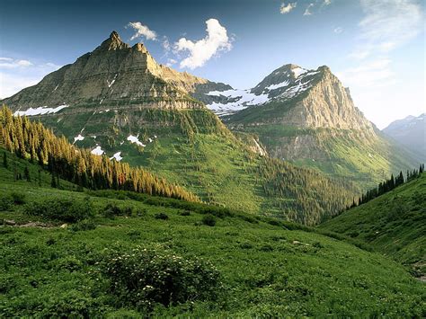 720p Free Download Glacier National Park Grass Glacier National
