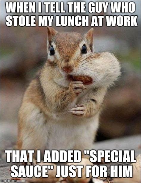 20 Adorable Chipmunk Memes