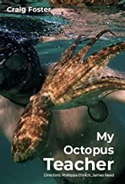 A filmmaker forges an unusual friendship with an octopus living in a south african kelp forest, learning as the animal shares the. Descargar Mi maestro el pulpo (My Octopus Teacher) (2020 ...