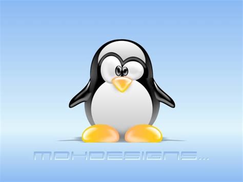 49 Free Penguin Wallpaper Screensavers