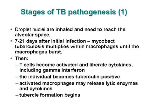 Transmission And Pathogenesis Of Tuberculosis