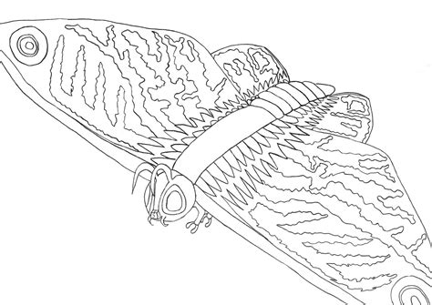 Pin on Outline