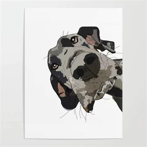Buy Great Dane Dog In Your Face Poster By Gangsterrapandcoffee