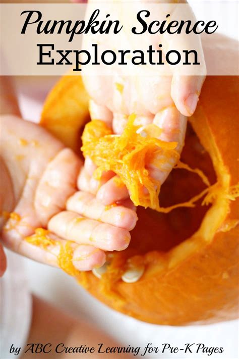 • pumpkin activities for toddlers and preschoolers at rainy day mum. Pumpkin Science Exploration