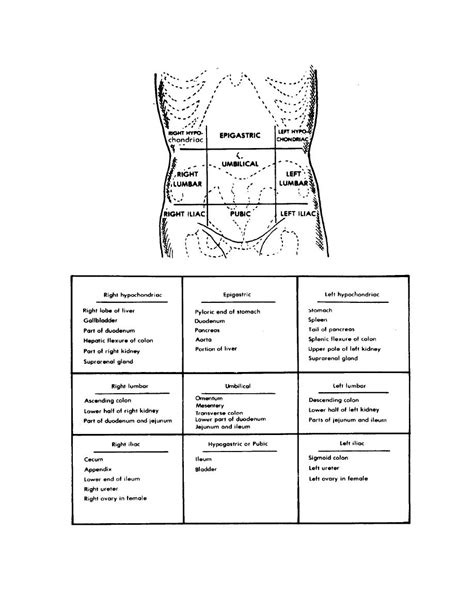 Figure 1 4 Abdominal Regions Nursing Care Gastrointestinal And