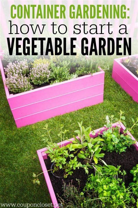 How To Start A Vegetable Garden In Containers Container Gardening Is