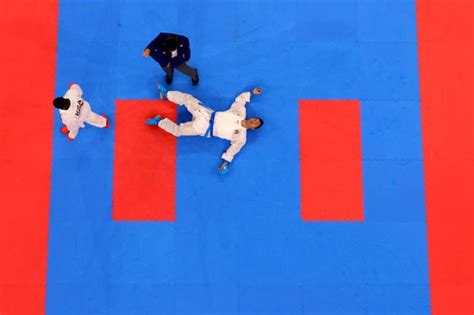 Olympic Medalist In Karate Lands Vicious Head Kick Ko Gets Disqualified