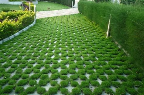 Green Driveway Permeable And Also Grass Driveway And Also Permeable