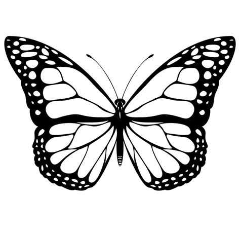 Butterfly Tattoo Drawing At Explore Collection Of