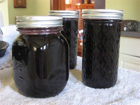 Happy Home Canning 101 Blueberry Jam